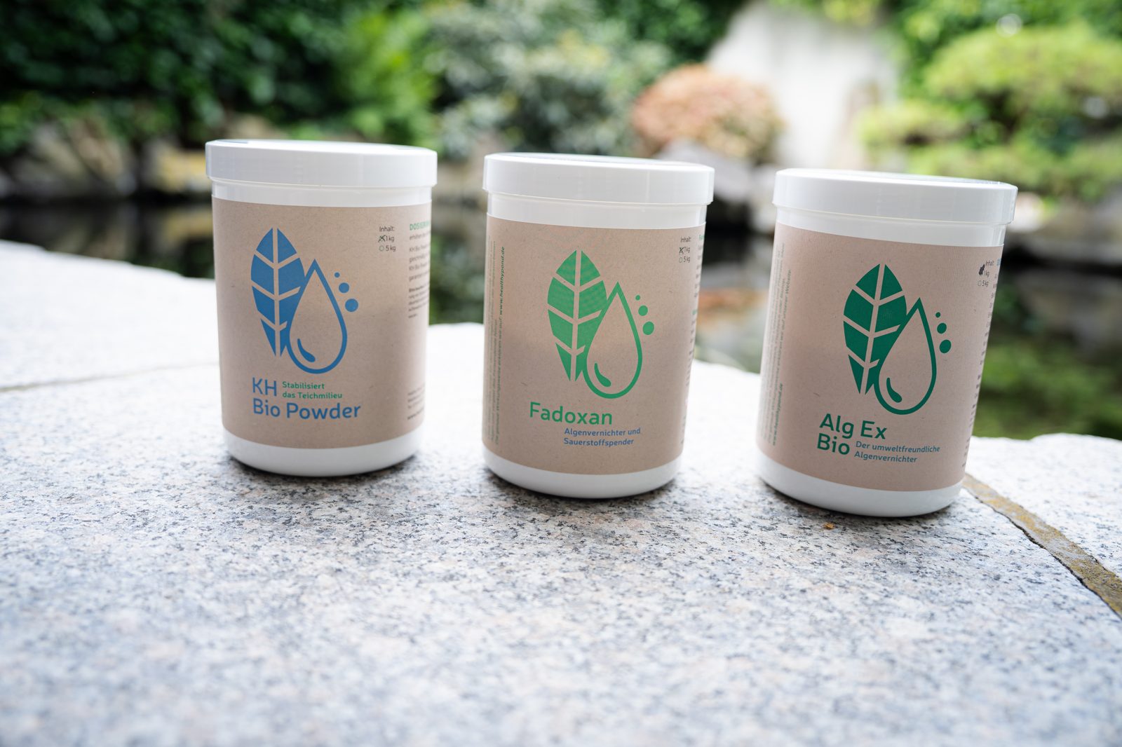 Kristallklarer Gartenteich mit gesunden Koi von oben